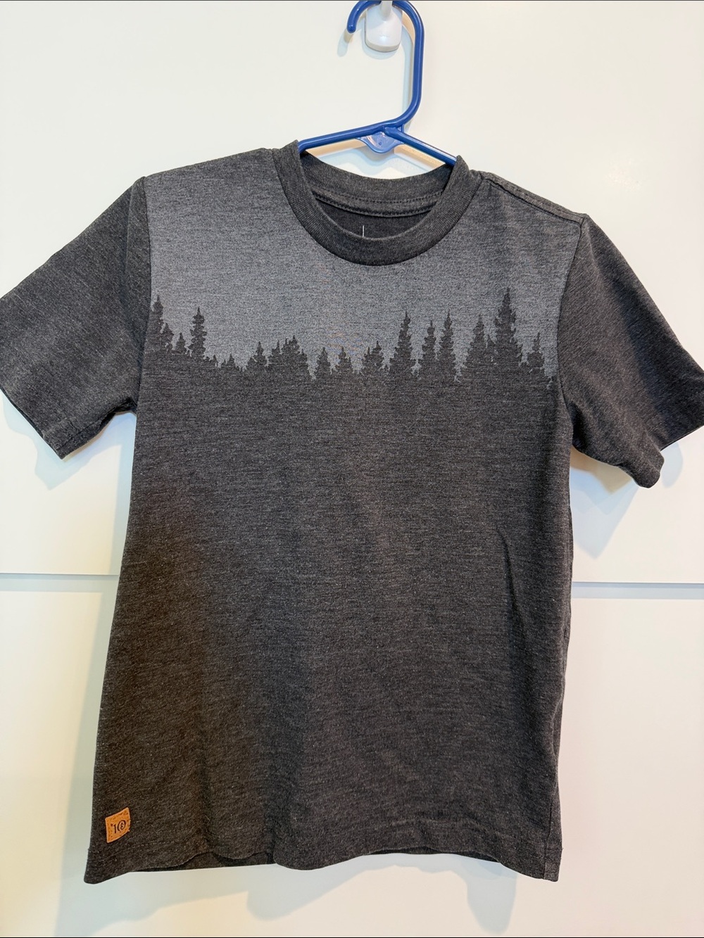 Boys' Forest Graphic Short Sleeve Tee - Dark Gray